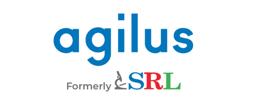 untitled design (15)